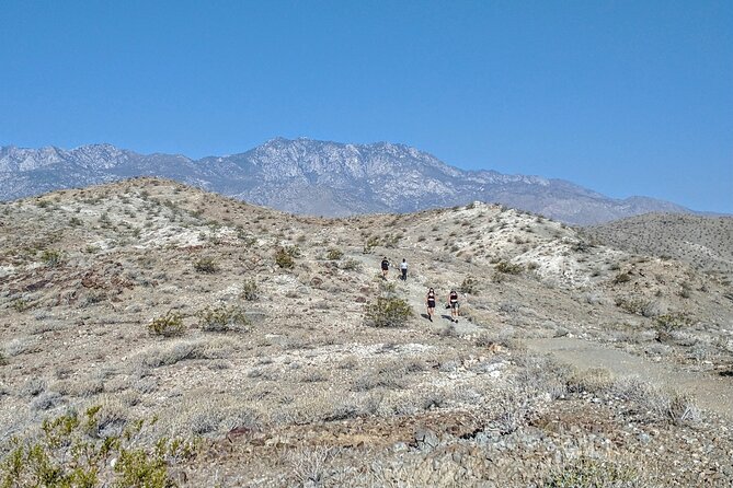 Palm Springs Hike to an Oasis and Amazing Desert Views - Learning the desert through Cahuilla traditions