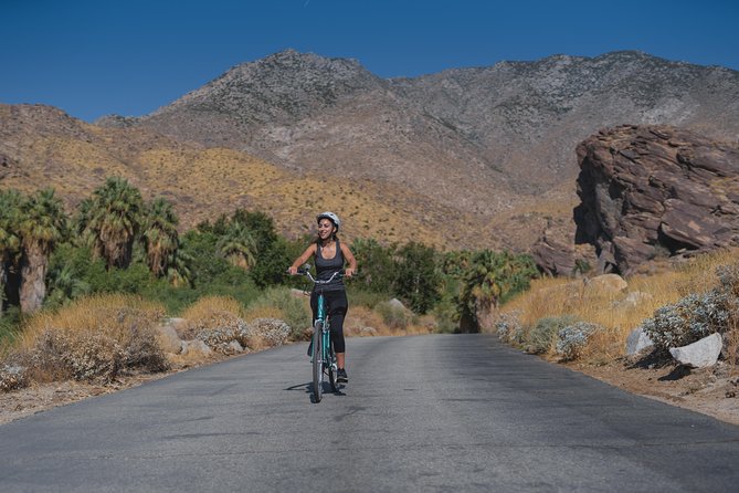 Palm Springs Indian Canyons Bike and Hike - What You See Along the Way