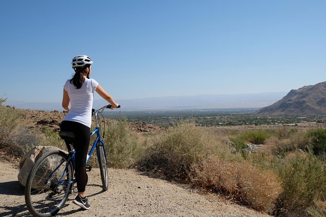 Palm Springs Indian Canyons Bike and Hike - Indian Canyons and the Running Stream