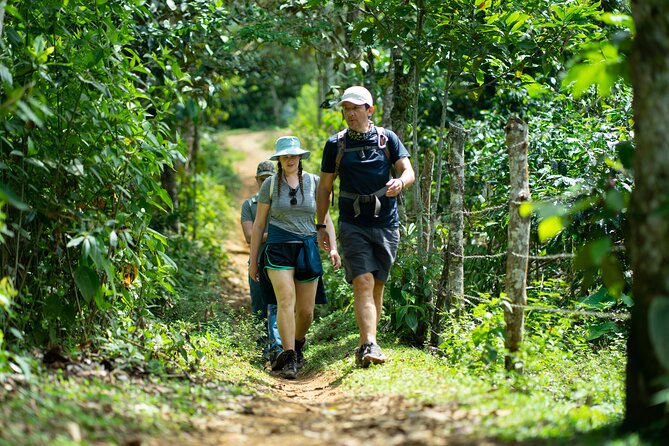 Pance Waterfalls: Hike to discover the biodiversity of the valley - Starting in La Voragine at 7:00 a.m.