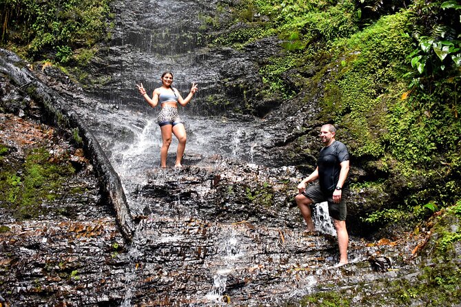 Pance Waterfalls: Hike to discover the biodiversity of the valley - Four hours among the Pance waterfalls
