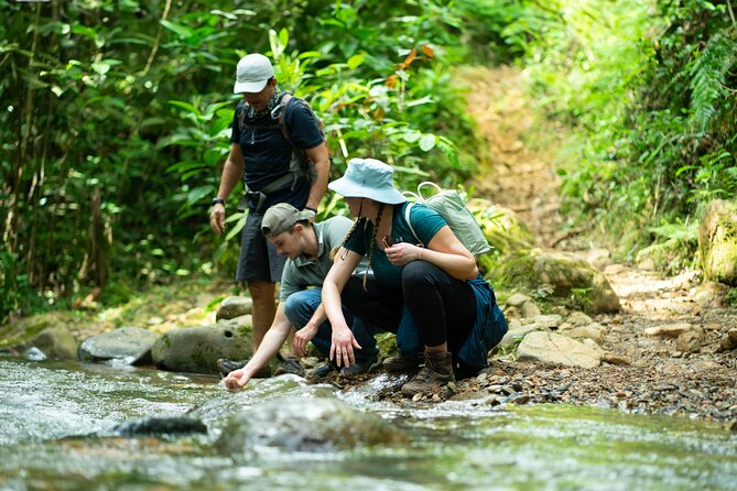 Pance Waterfalls: Hike to discover the biodiversity of the valley - Waterfalls, pools, and views toward Cali