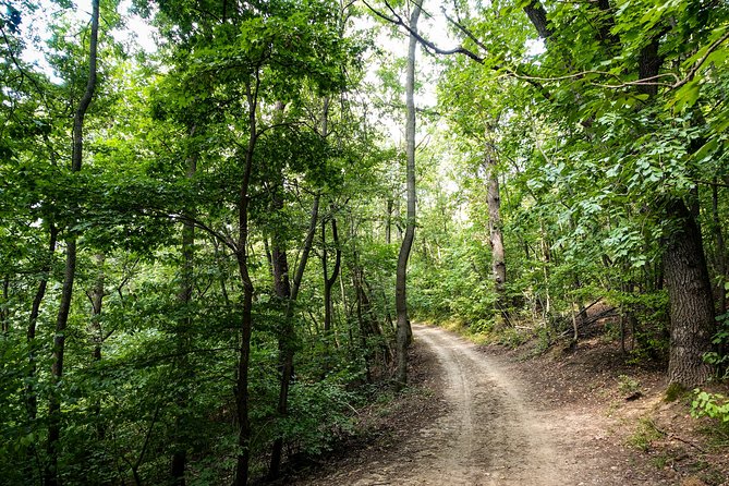 Panoramic hike around Budapest - Fairy Rock and Hárs-Hegy add variety