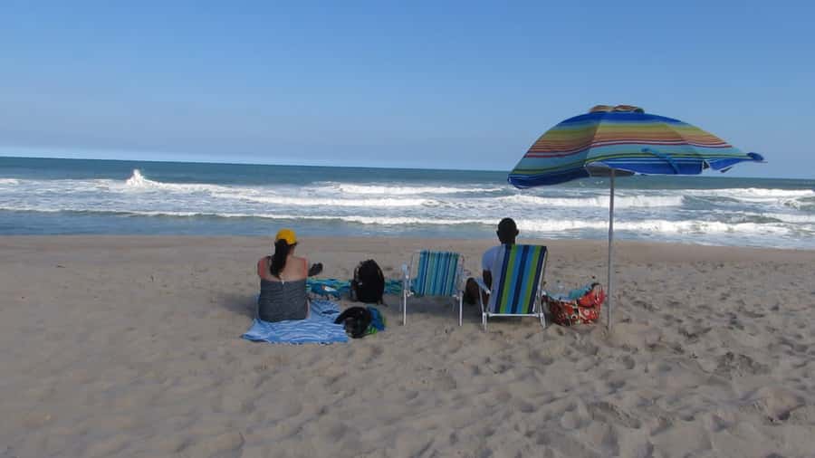 Pedra do Telégrafo Hike and Beach Full-Day Tour - Who should book this Rio hike