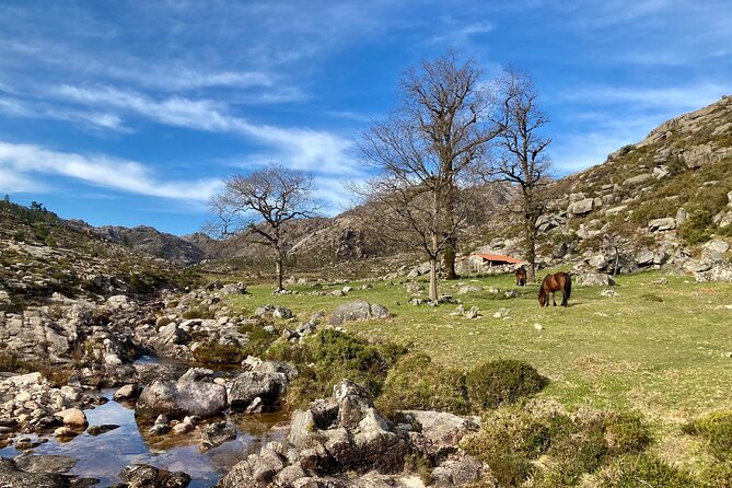 Peneda-Gerês Hiking & Sightseeing: Private Experience - Vilarinho das Furnas and the 20-minute viewpoint stop