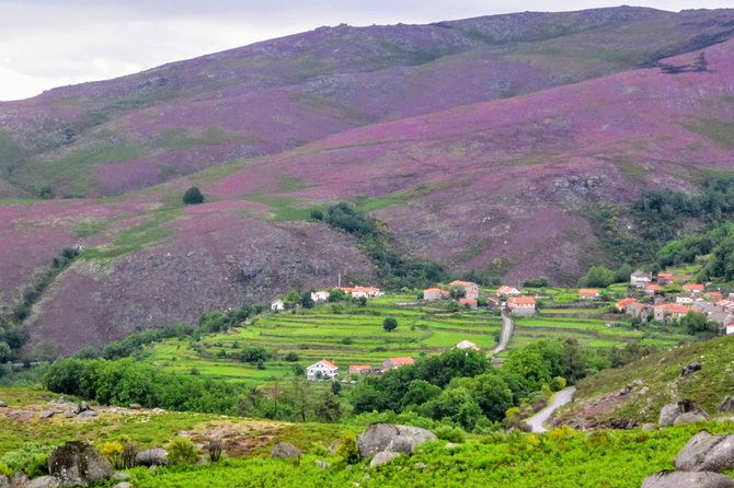 Peneda-Gerês Hiking & Sightseeing: Private Experience - Starting from Porto, Braga, or Guimarães