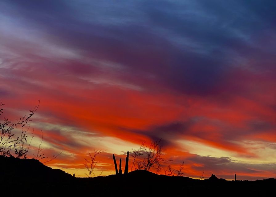 Phoenix: Amazing Two-Hour Guided Hike in the Sonoran Desert - A fast route from city streets to Sonoran Desert views