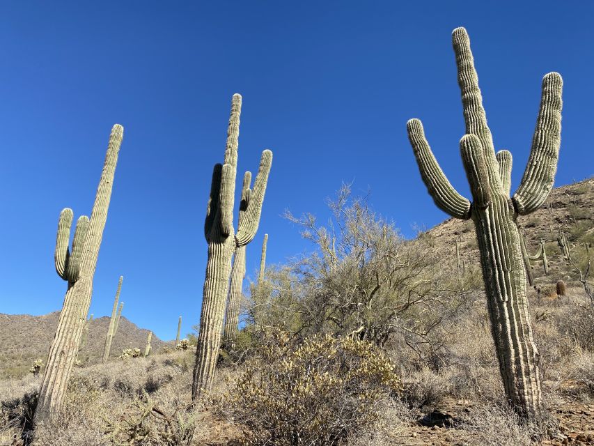 Phoenix: Amazing Two-Hour Guided Hike in the Sonoran Desert - Choosing the right time for heat and views