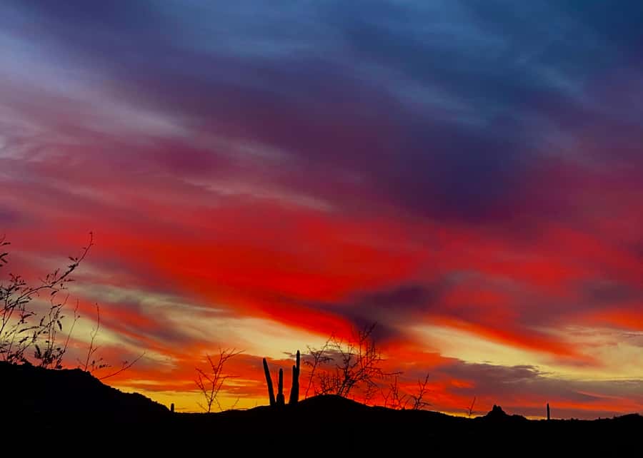 Phoenix: Sonoran Desert Guided Sunset Hike - Key points to know before you book