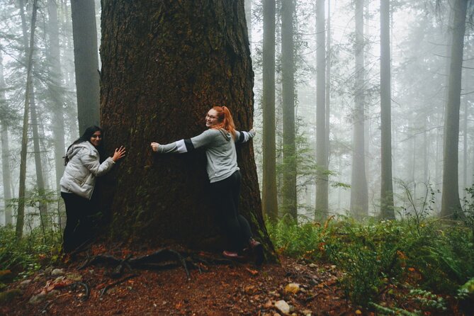 Photography, Gondola & Snowshoeing - Who should book this experience?