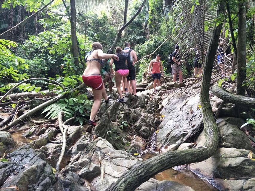 Phuket: Jungle Trekking Experience at Khao Phra Taew - Key points to know before booking