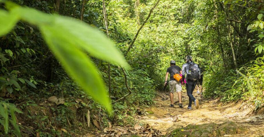Phuket: Jungle Trekking Experience at Khao Phra Taew - Entering Khao Phra Taew’s protected forest