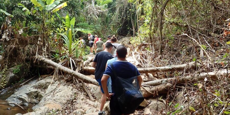 Phuket: Jungle Trekking Experience at Khao Phra Taew - Ton Sai and Bang Pae Waterfalls