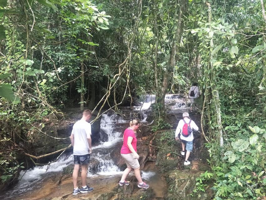 Phuket: Jungle Trekking Experience at Khao Phra Taew - Fresh fruit, drinks, and a local lunch