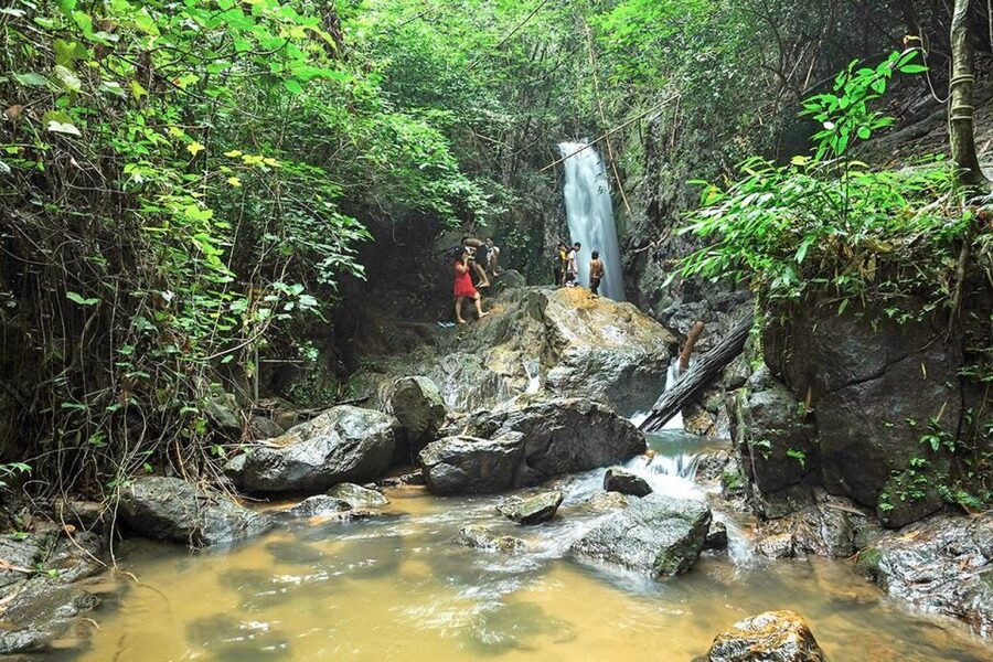 Phuket: Jungle Trekking Experience at Khao Phra Taew - Is $77 good value for this Phuket day?