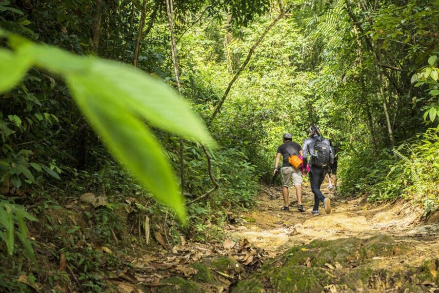 Phuket: Jungle Trekking Experience at Khao Phra Taew - The 8 km trail between Ton Sai and Bang Pae