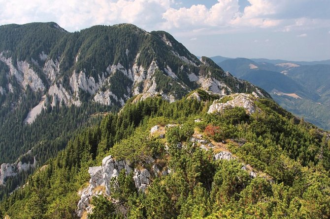 Piatra Craiului National Park Private Hiking Tour from Brasov - Leaving Brasov for the Carpathian foothills