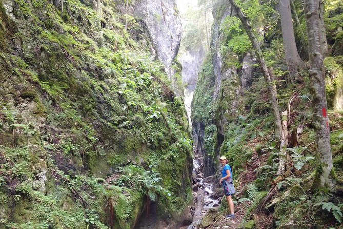 Piatra Craiului National Park Private Hiking Tour from Brasov - The guide makes or breaks the mountain day