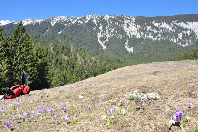Piatra Craiului National Park Private Hiking Tour from Brasov - Lunch is part of the planning, not part of the price