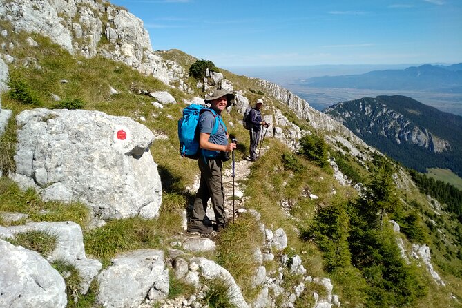 Piatra Craiului National Park Private Hiking Tour from Brasov - Optional Bran Castle on the return to Brasov