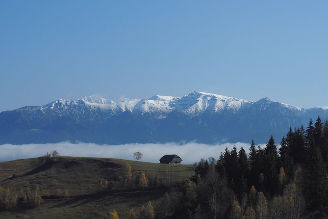 Piatra Craiului National Park Private Hiking Tour from Brasov - Clothing and fitness: take the warnings seriously