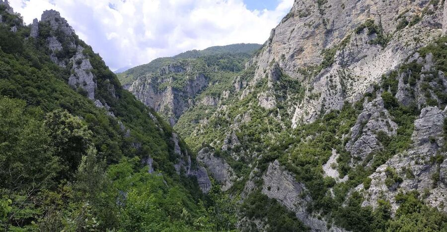 Pieria: Guided Hiking Tour in Enipeas Gorge of Mount Olympus - Wooden bridges and the rhythm of the gorge