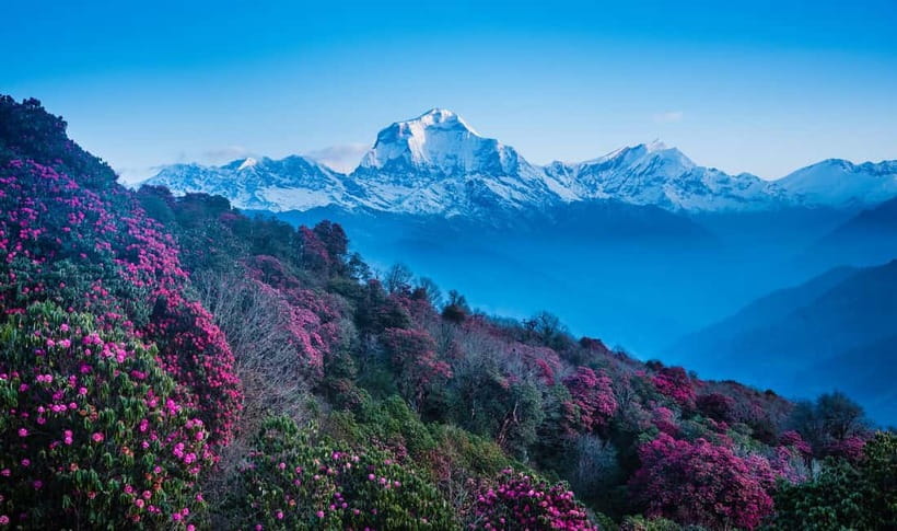 Pokhara: 2 & 3 Days Ghorepani Poon Hill Private Guided Trek - Poon Hill before dawn