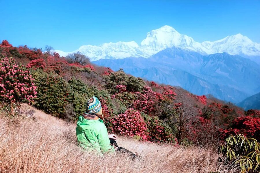 Pokhara: 2 Day Ghorepani & Poon Hill Private Trekking - The Pokhara transfer: clarify the vehicle first