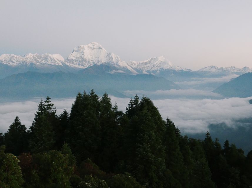 Pokhara: 3-Day Ghorepani and Poon Hill Trek - Day 3: Poon Hill sunrise and the long return to Pokhara