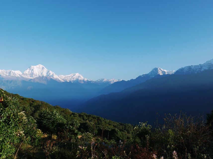 Pokhara: 3-Day Ghorepani and Poon Hill Trek - What the $127 price actually gives you