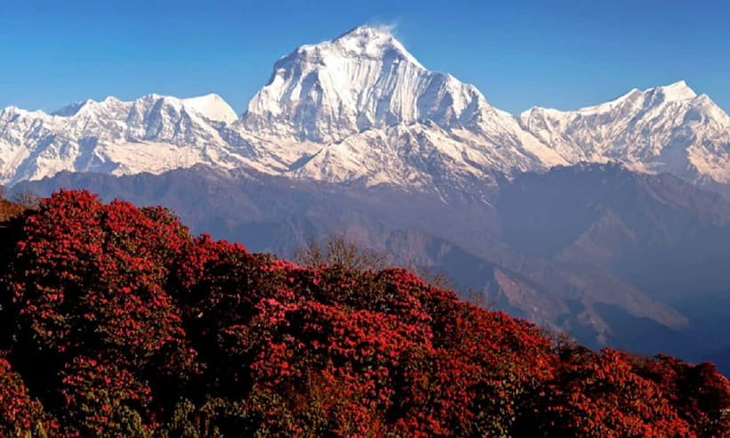 Pokhara: 3-Day Ghorephani and Poon Hill Private Trek - Who should book this trek