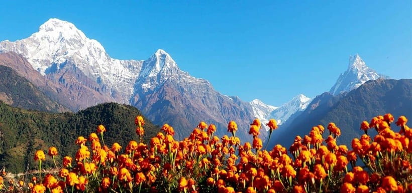 Pokhara: 4-Day Ghorepani, Poonhill & Ghandruk Mountain Trek - Day two: Rhododendron forest and the lodges of Ghorepani