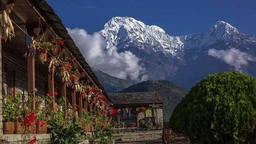 Pokhara: 4-Day Ghorepani, Poonhill & Ghandruk Mountain Trek - Day three: Poon Hill sunrise, Tadapani, and Ghandruk
