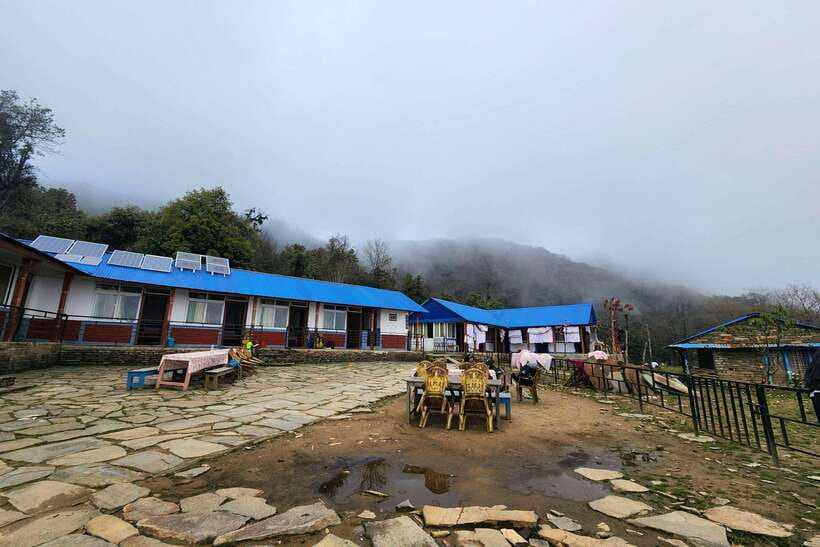 Pokhara: 4-Day Mardi Himal Trek - Day 4: Forest trails, Kalimati, and the drive back