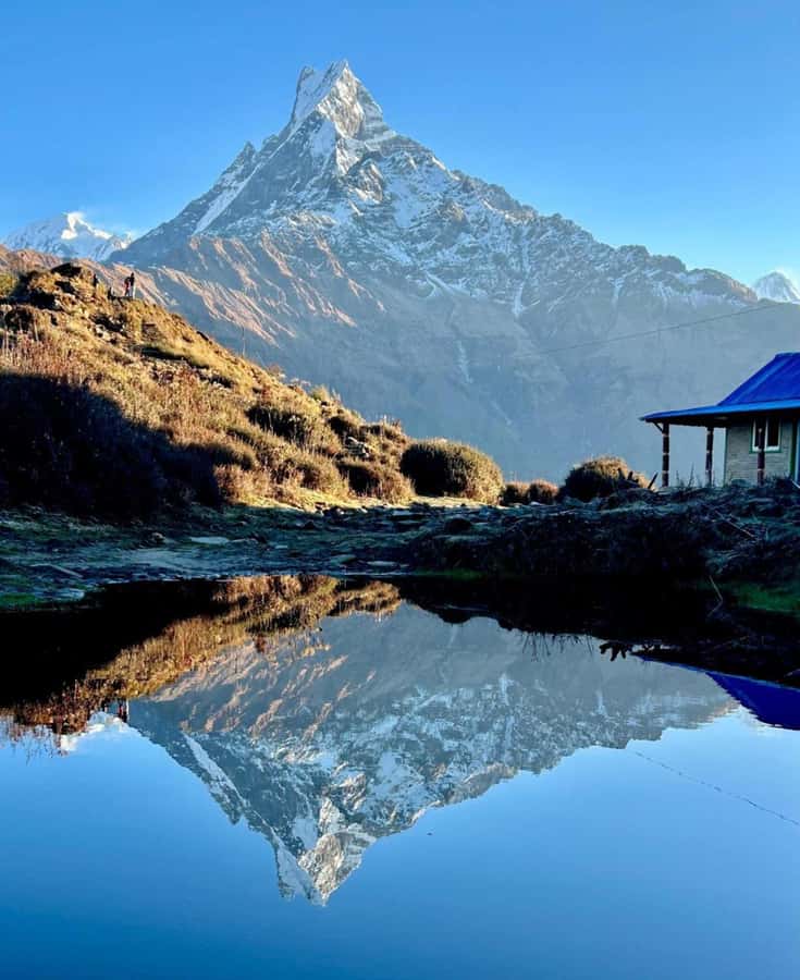 Pokhara: 4-Day Mesmerizing Mardi Himal Guided Trek - Who should choose this Mardi Himal trip?