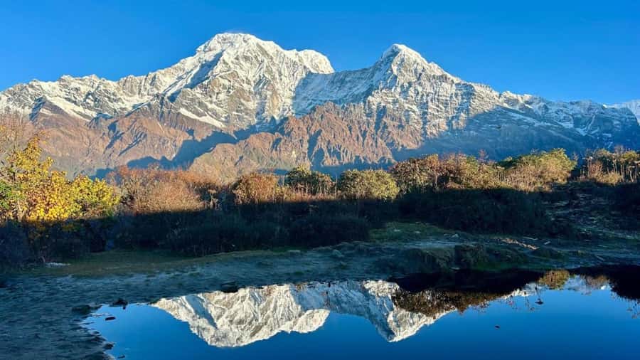 Pokhara: 4-Day Mesmerizing Mardi Himal Guided Trek - Day two: Forest Camp to High Camp at 4,000 meters