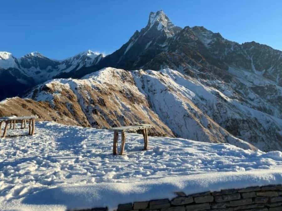 Pokhara: 4-Day Mesmerizing Mardi Himal Guided Trek - Guides, group size, and the human side of the route