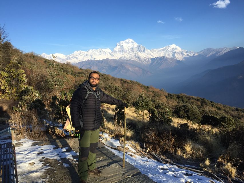 Pokhara: 4-Day Private Trek Tour - Day 2: Rhododendron forest and the approach to Ghorepani