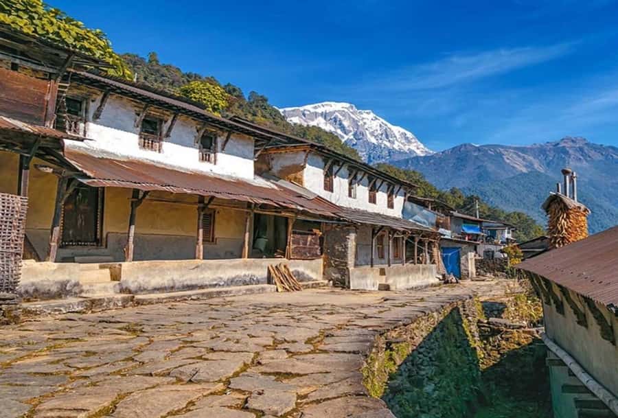 Pokhara: 5 Day Annapurna Base Camp Trek & Natural Hot Spring - Day 4: Annapurna Base Camp to Bamboo