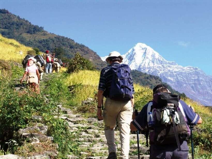 Pokhara: Annapurna Day Hike with Panoramic Views - Key points at a glance
