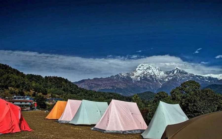 Pokhara: Guided Day Hike From Dampus To Australian Base Camp - Key points to know before you go