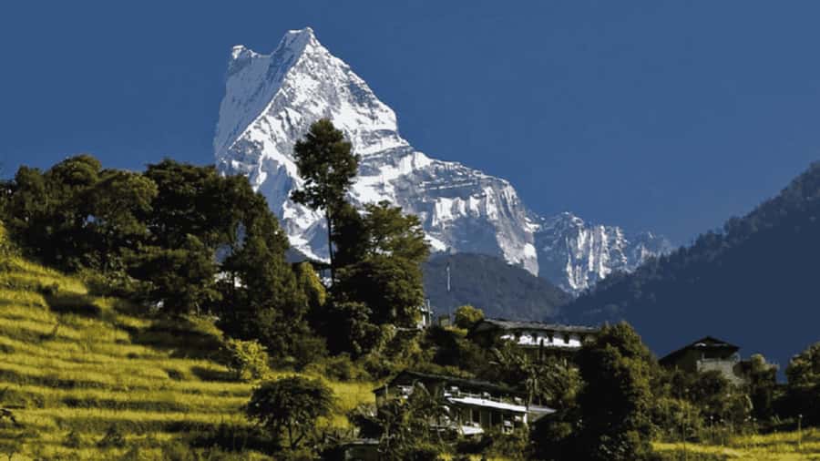 Pokhara: Guided Day Hike From Dampus To Australian Base Camp - Walking through Dhampus and Gurung country