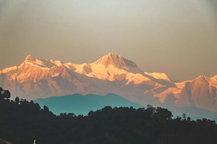 Pokhara: Guided Day Hike From Dampus To Australian Base Camp - The forest trail toward Australian Camp