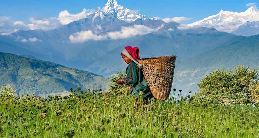 Pokhara: Guided Day Hike From Dampus To Australian Base Camp - Reaching the 2,100-meter Australian Camp viewpoint