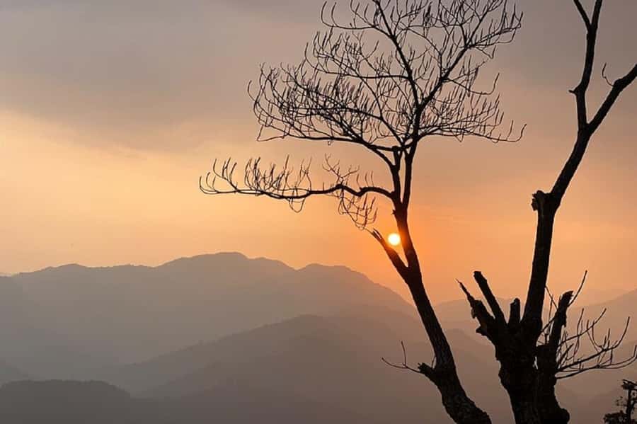Pokhara: Guided Day Hike From Dampus To Australian Base Camp - Returning to Dhampus and Pokhara