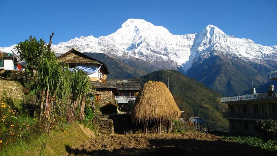 Pokhara: Guided Day Hike From Dampus To Australian Base Camp - Who should choose this hike