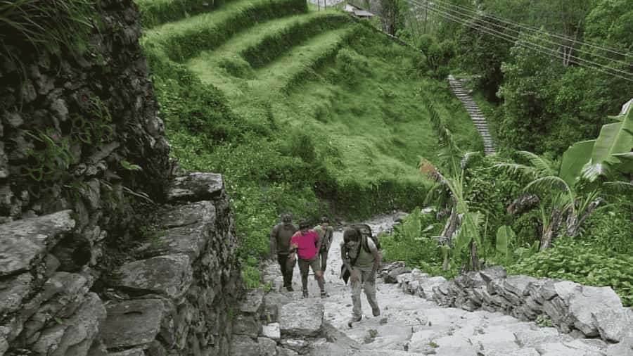 Pokhara: Guided Day Hike From Dampus To Australian Base Camp - The 90-minute drive from Pokhara to Dhampus