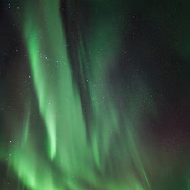 Polar Night Snowshoe Trek - What the guides add to the evening