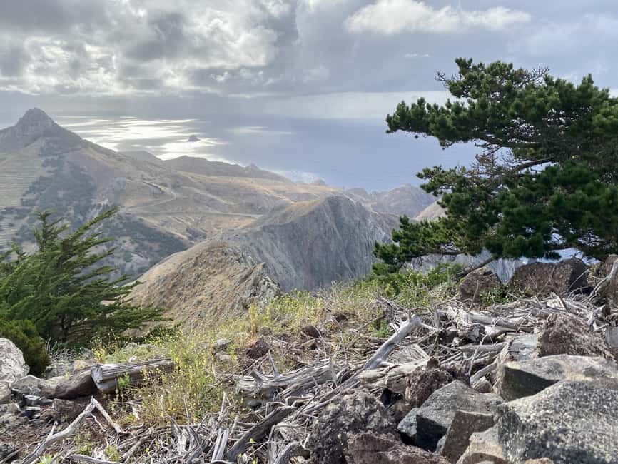 Porto Santo: Pico Branco and Terra Cha Guided Mountain Hike - The PR1 route toward Pico Branco