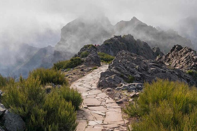 PR1 Pico do Arieiro Self-Guided Hiking Transfer (Morning slot) - The greener Vereda do Burro section